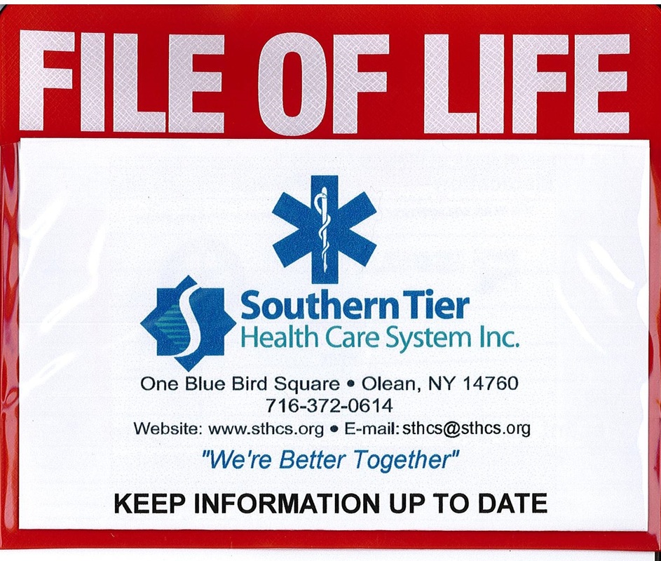 file-of-life-southern-tier-health-care-system-inc